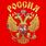 Майка Россия (Красная) 1