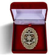 Знак в бархатистом футляре Отличник ГИМС МЧС России