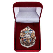 Знак в бархатистом футляре 55-я Мозырская дивизия МП ТОФ