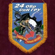 Вымпел 24 ОБрСпН ГРУ