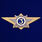 Знак классного специалиста МВД России (специалист 3-го класса)