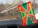 Флажок в машину с присоской Камчатского ПогО