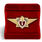 Знак в бархатистом футляре Классный специалист МЧС 1-го класса 2