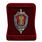 Знак в бархатистом футляре 100 лет Оперативно-поискового управления ФСБ 2