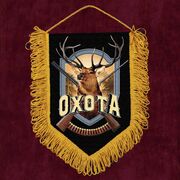 Вымпел Охота