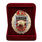 Знак в бархатистом футляре 26 ОСН Барс 2