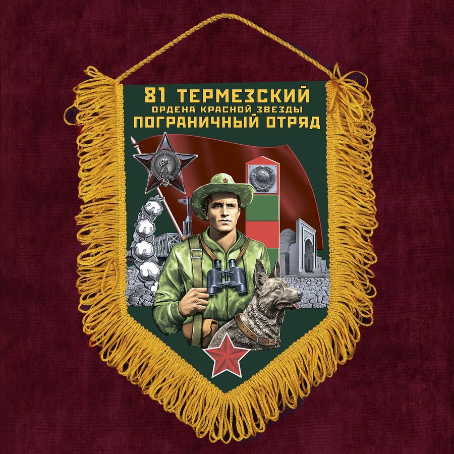 Вымпел 81 Термезский ПогО