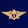 Знак в бархатистом футляре Классный специалист МЧС 1-го класса 7