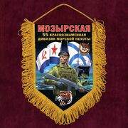 Военный Вымпел 55 Мозырская ДМП