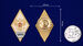 Знак за окончание Серпуховского ВИРВ 3