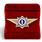 Знак в бархатистом футляре классного специалиста МВД России (специалист 1-го класса) - начальствующий состав 2