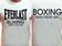 Футболка EVERLAST boxing (Белая) 1