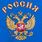 Футболка Россия с гербом (Синяя) 4