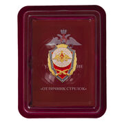 Знак Отличник стрелок в наградной коробке с удостоверением в комплекте