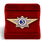 Знак в бархатистом футляре классного специалиста МВД России (специалист 3-го класса) 2