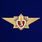 Знак Классный специалист МЧС 3-го класса