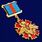 Знак За службу в РВСН МО РФ