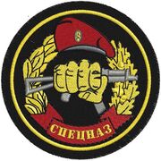 Шеврон Спецназа ВВ МВД