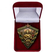 Знак в бархатистом футляре Отличный пограничник