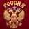 Футболка Герб Российской Федерации (Бордо) 4