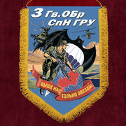 Вымпел 3 Гв. ОБрСпН ГРУ