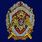 Знак Росгвардии Участник боевых действий