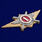 Знак Росгвардии Квалификационное звание Специалист 1-го класса 2