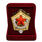 Знак Шахтерская слава 1 степени муляж в бархатистом футляре 3