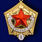 Знак Шахтерская слава 1 степени муляж в бархатистом футляре 6