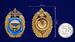 Нагрудный знак 7-я гвардейская десантно-штурмовая дивизия ВДВ 4