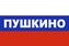 Флаг триколор Пушкино 90x135 большой