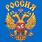 Футболка Герб России (Синяя) 4
