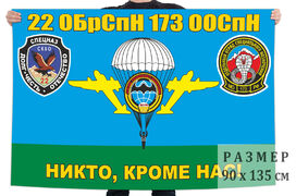 Флаг 22 ОБрСпН 173 ООСпН