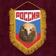 Вымпел триколор с орлом