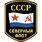 Наклейка Северный флот СССР