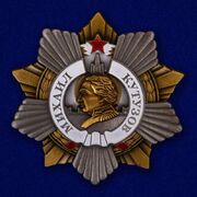 Копия ордена Кутузова 1 степени