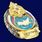 Знак в бархатистом футляре За отличие МЧС 8