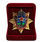 Знак в бархатистом футляре Звезда ВДВ  3