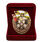 Знак в бархатистом футляре За службу в войсках РХБЗ 2