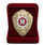 Знак в бархатистом футляре МВД России Классный специалист (Мастер) 3