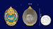Знак в бархатистом футляре За отличие МЧС 10