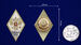 Знак в бархатистом футляре об окончании Михайловской ВАА 8