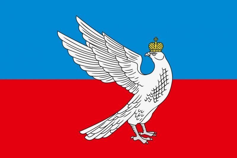 Флаг Суздаля Владимирской области 90x135 большой