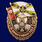 Знак в бархатистом футляре За службу в войсках РХБЗ 4