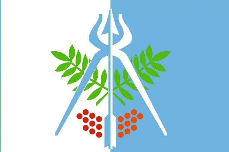 Флаг Ижевска Удмуртской Республики
