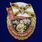 Знак За службу в войсках РХБЗ РФ