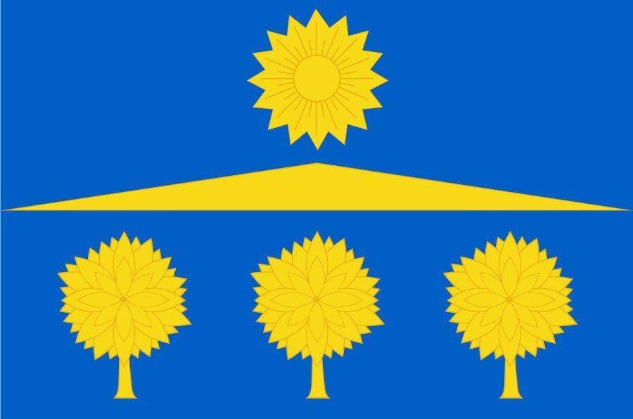 Флаг Солнечногорска