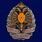 Знак Почетный сотрудник МЧС России