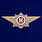 Знак классного специалиста МВД России (Мастер)