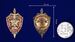 Знак 100 лет ВЧК-КГБ-ФСБ 4